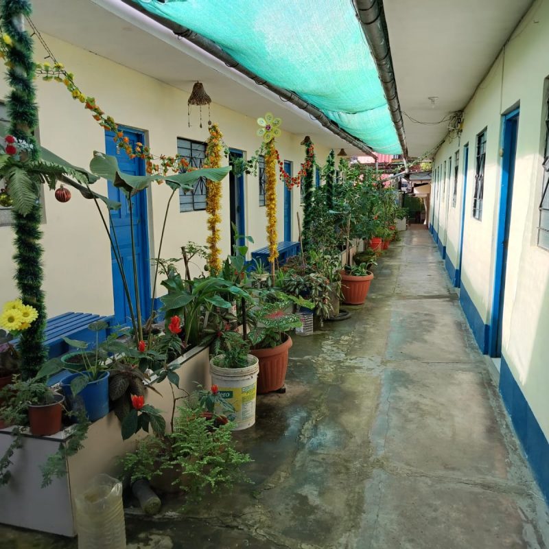 foto3